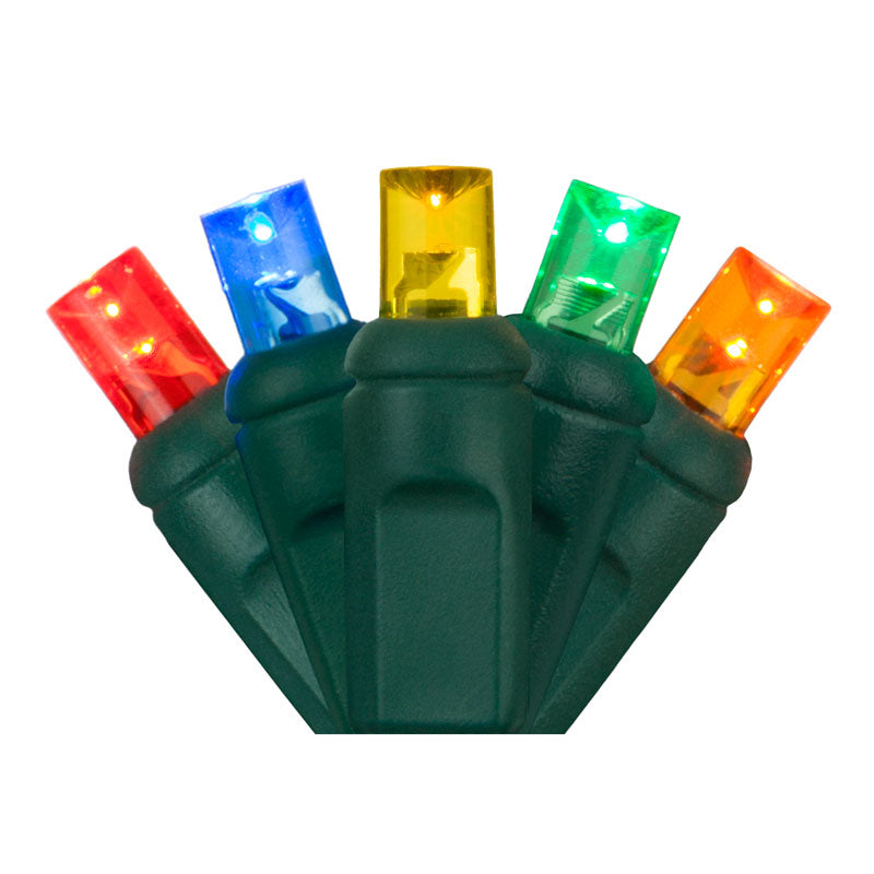 Holiday Lighting Management 5mm LED Outdoor Lights