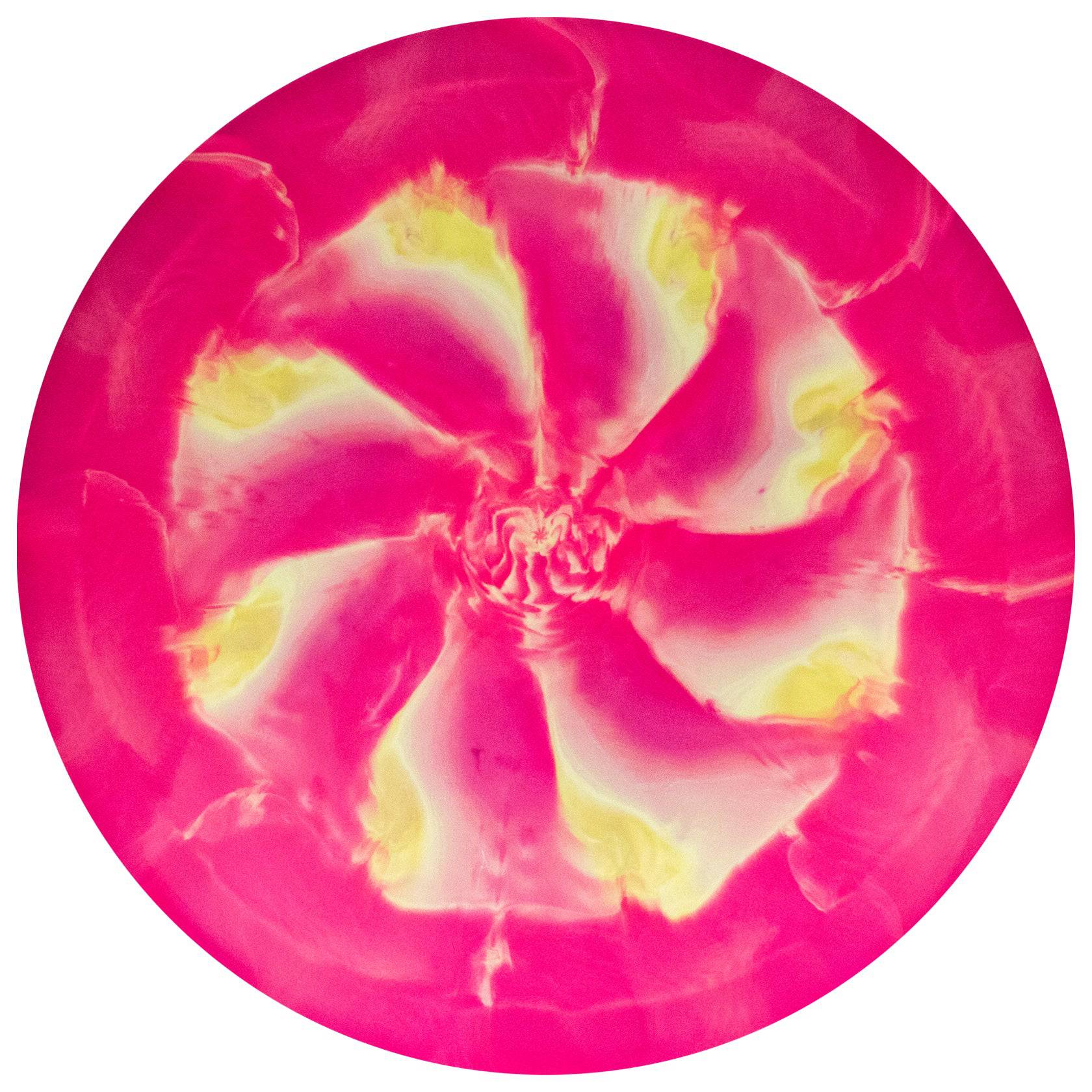 Discraft Golf Disc Discraft Limited Edition 2019 Tour Series Paul McBeth 1060 Understamp Swirl ESP Anax Distance Driver Golf Disc