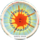 Innova Golf Disc Innova Limited Edition 2021 USDGC Ring of Rocs I-Dye Bottom Stamp Star Roc Plus Midrange Golf Disc